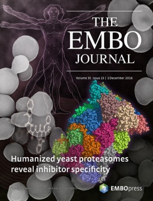 embo