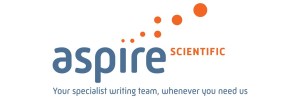 Strapline (3-1 dimension)